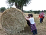 Clicca qui per vedere l'immagine in dettaglio